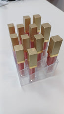 Gloss Up Karina Goulart